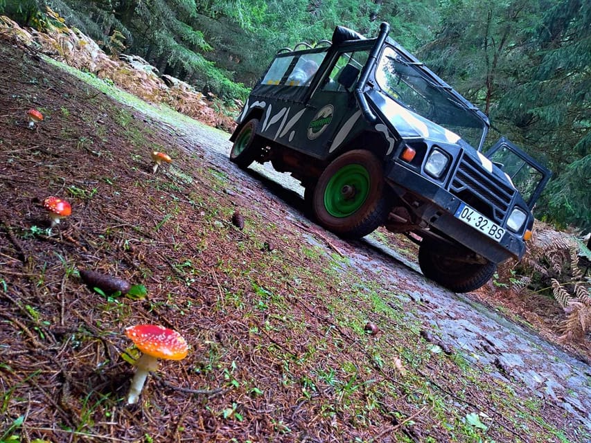 From Funchal: Pico Do Areiro and Santana Full-Day Jeep Tour