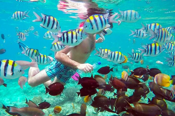 4 Best Snorkeling Experiences In Gili Trawangan