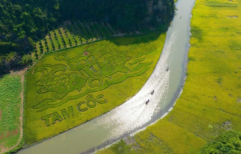 From Ha Noi: Ninh Binh Hoa Lu Trang An Day Tour