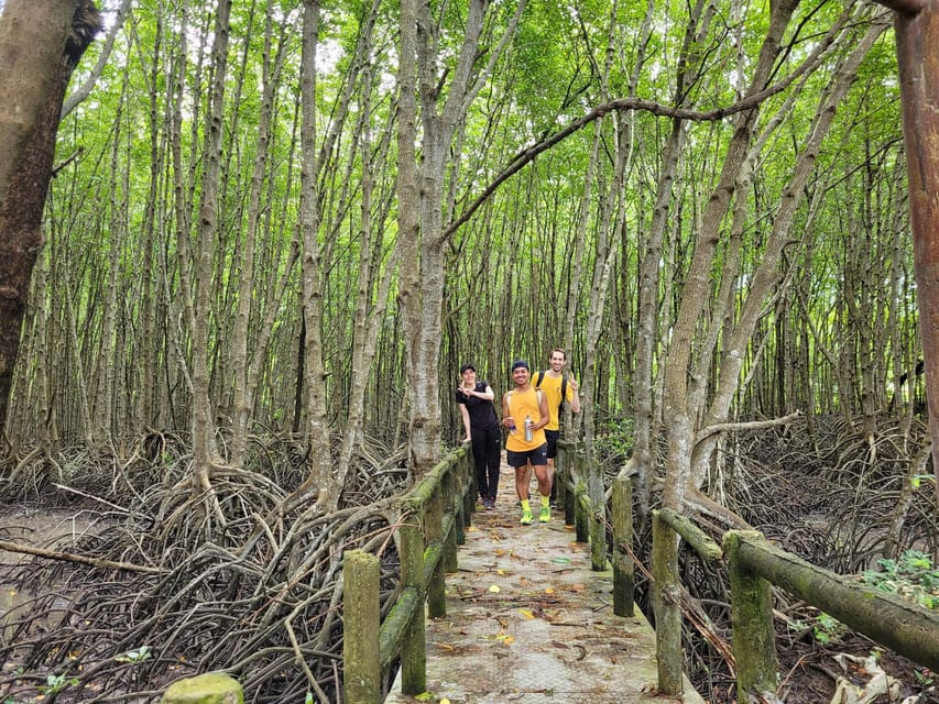 From Ho Chi Minh City: Can Gio Mangrove Forest Tour - Tour Overview