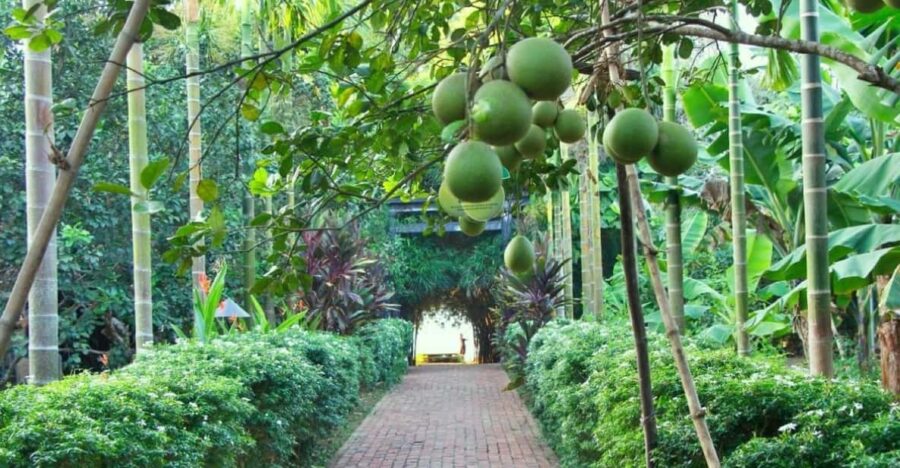 From Hue: 1 Day COOKING CLASS in THUY BIEU VILLAGE - Overview and Pricing