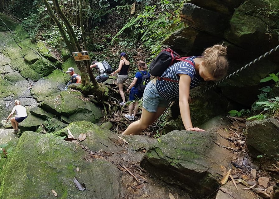From Hue: Bach Ma National Park Trekking Day Trip - Overview and Pricing