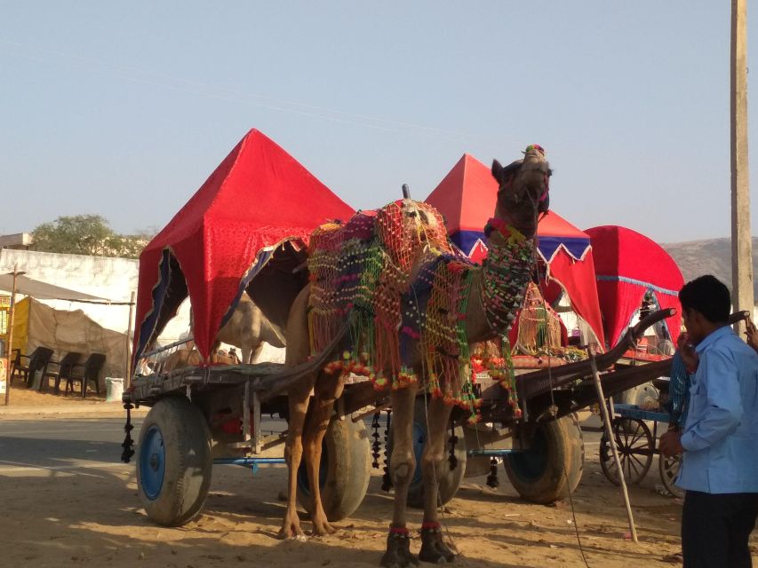 From Jaipur: Ajmer and Pushkar Private Tour By Ac Car