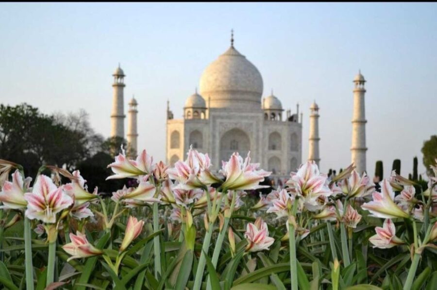 From Jaipur: Taj Mahal & Agra Fort Day Trip With Lunch