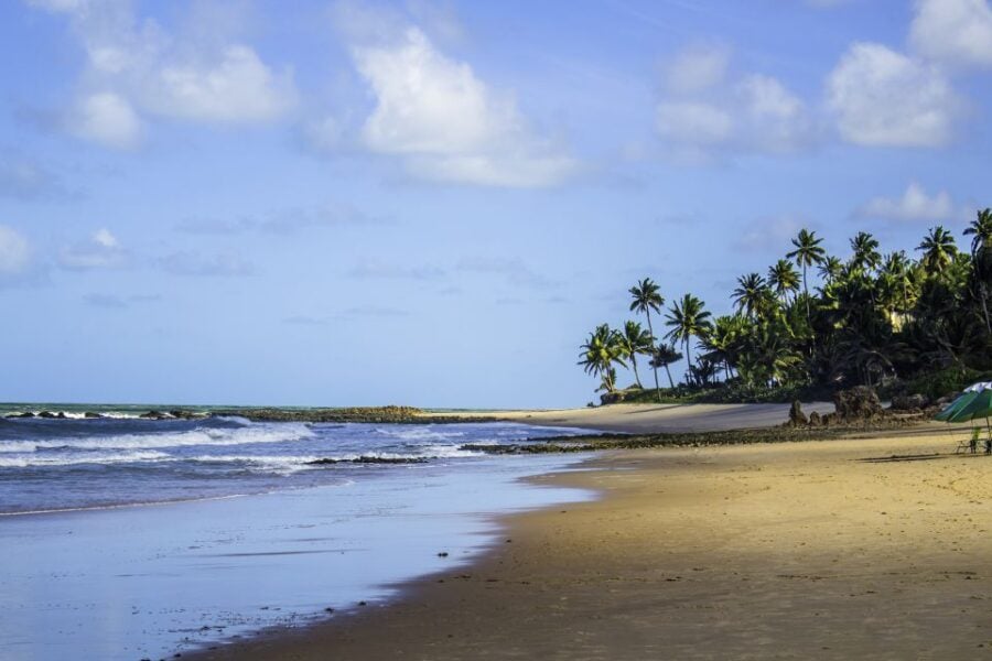 From João Pessoa: Full-Day Southern Coast Beaches Tour - Tour Overview