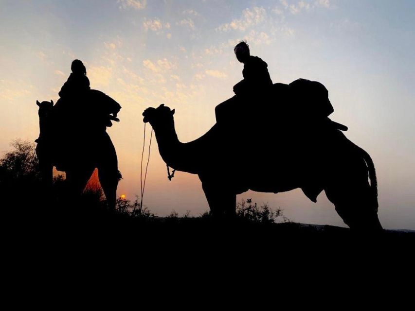 From Jodhpur : Overnight Stay In Desert