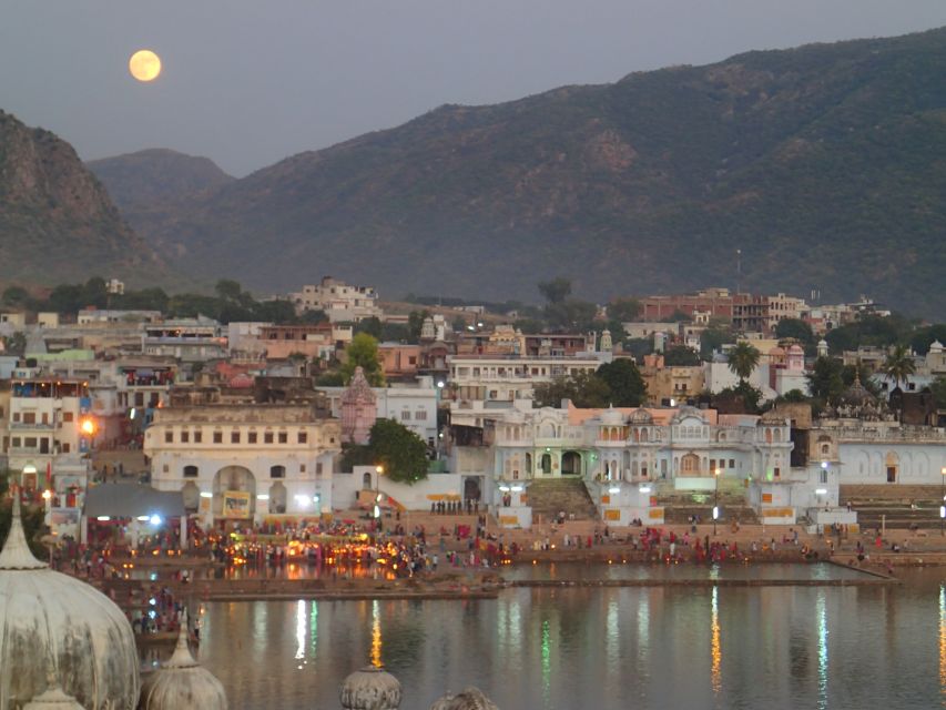 From Jodhpur: Self-Guided Pushkar Day Trip - Trip Overview