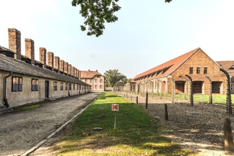 From Krakow: Auschwitz Birkenau and Salt Mine Guided Tour - Tour Overview