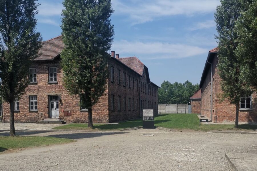 From Krakow: Auschwitz-Birkenau Camp Complex Guided Day Trip - Trip Overview