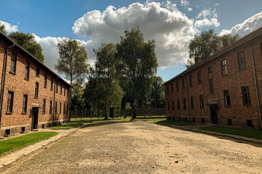 From Krakow: Auschwitz-Birkenau Memorial and Museum Tour - Tour Overview and Pricing