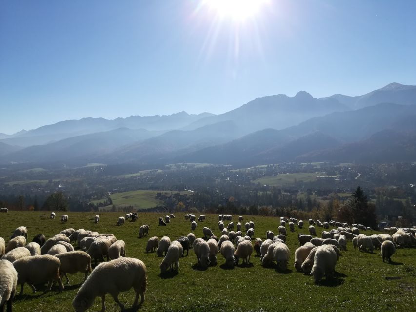 From Krakow: Dunajec River Rafting and Zakopane Town Tour - Tour Overview