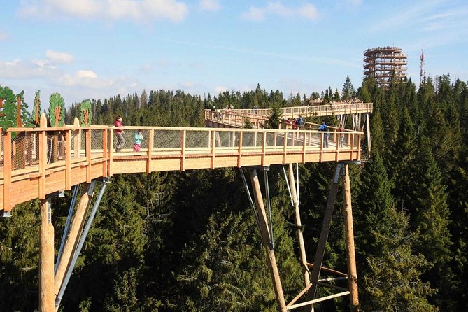 From Krakow: Morskie Oko in the Tatra Mountains and Slovakia Treetop Walk