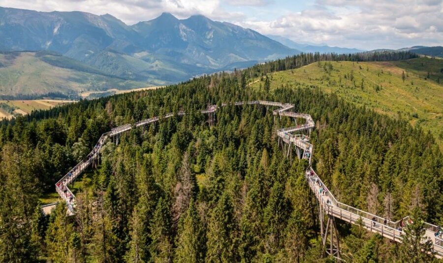 From Krakow: Slovakia Treetop Walk and Zakopane Tour - Tour Overview
