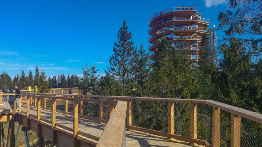 From Krakow: Slovakia Treetop Walk, Zakopane & Thermal Spa