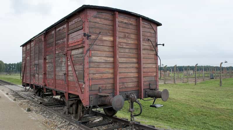 From Krakow: Wieliczka Salt Mine & Auschwitz Guided Trip - Trip Overview