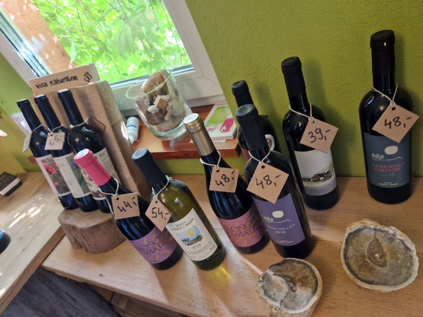 From Krakow: Wine Tasting at Vineyard