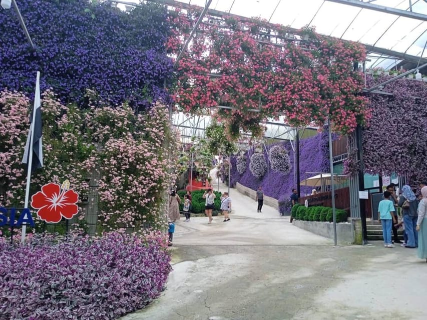 From Kuala Lumpur: Cameron Highlands Private or Join In Tour