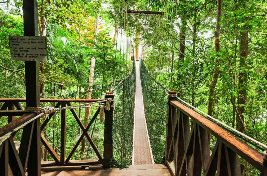 From Kuala Lumpur: Full-Day Taman Negara National Park