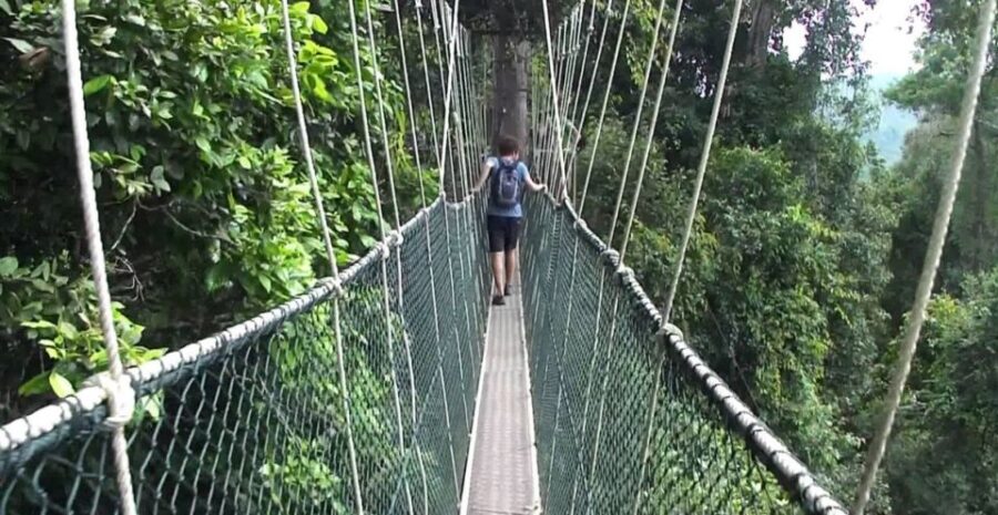 From Kuala Lumpur: Full Day Tour to Taman Negara