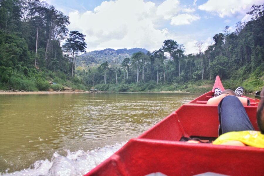 From Kuala Lumpur: Taman Negara National Park Day Tour