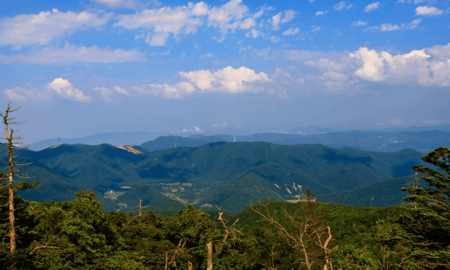 2 Best National Park Tours In Malaysia