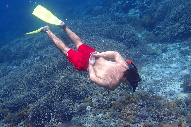 3 Best Snorkeling Experiences In Nusa Lembongan