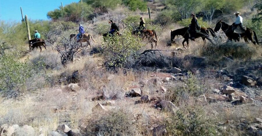 From Loreto: Baja Desert Horseback Riding Tour
