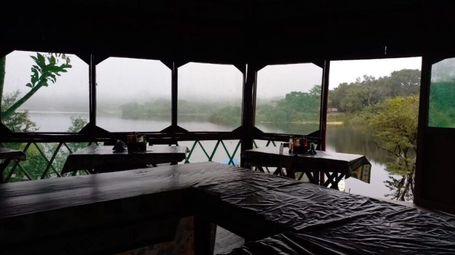 From Manaus: 2-Day Amazon Jungle and Ipanema Lake Excursion