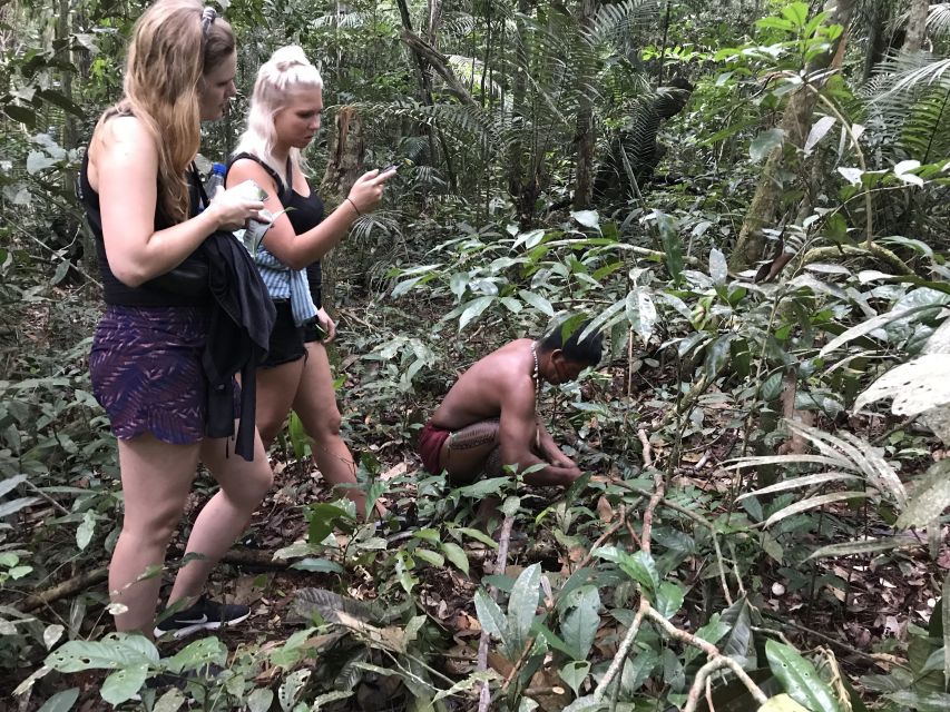 From Manaus: One-Day Amazon Jungle Experience - Jungle Trekking and Wildlife Exploration