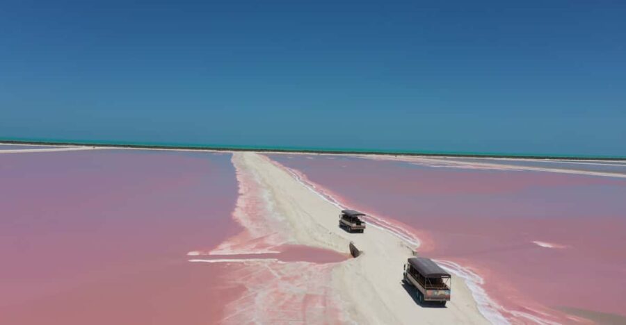 From Mérida: All-Inclusive Tour to Las Coloradas