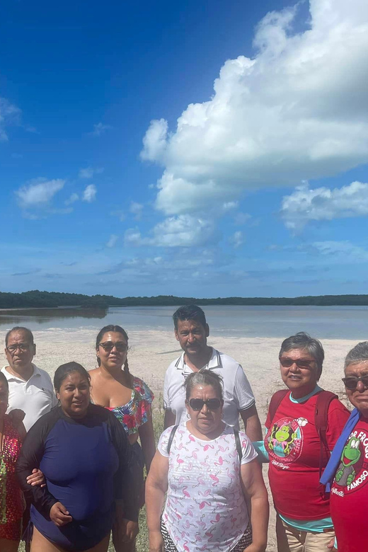 From Mérida: Celestún Flamingo Watching Tour With Lunch