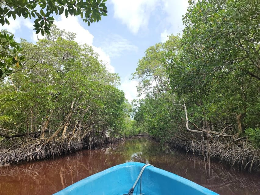 From Merida: Celestún, Salt Lakes, and Beach Day