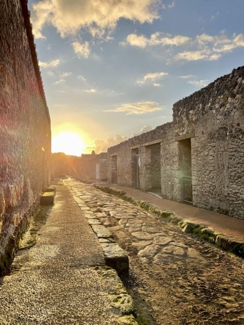 From Napoli: Guided Tour Of Pompeii With Driver From Naples