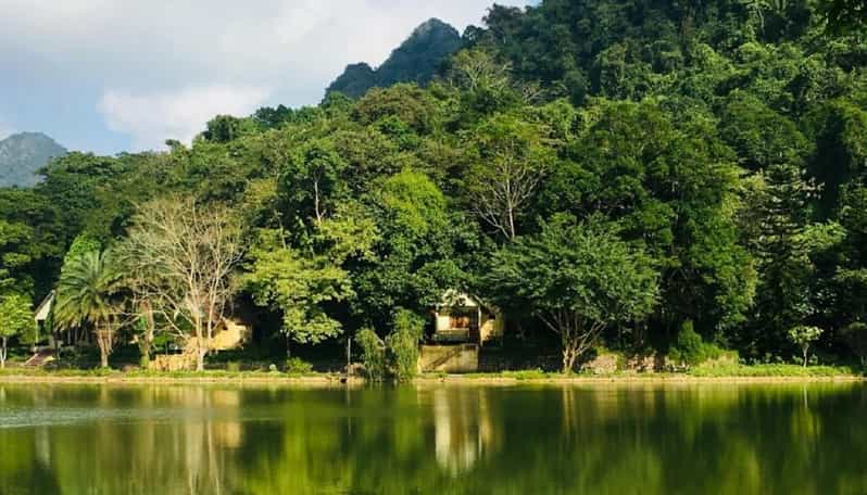 From Ninh Binh : Cuc Phuong National Park Full Day Trip