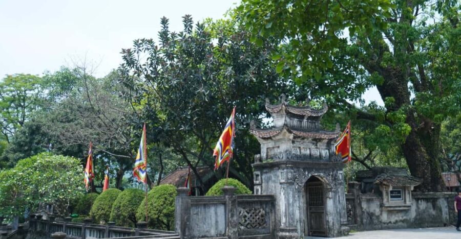 From Ninh Binh: Hoa Lu-Trang An- Mua Cave With Buffet/Guide - Tour Overview and Pricing