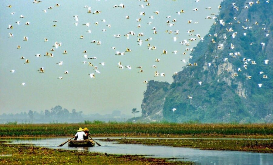 4 Best National Park Tours In Ninh Binh Province