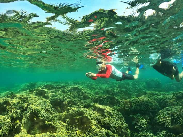 From Phu Quoc: Discover 4 Islands by Speedboat Full Day Tour - Tour Overview