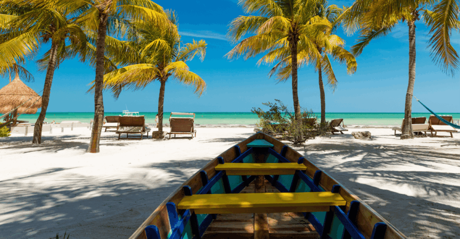 From Playa Del Carmen: One Way Shared Transfer to Holbox - Overview and Pricing