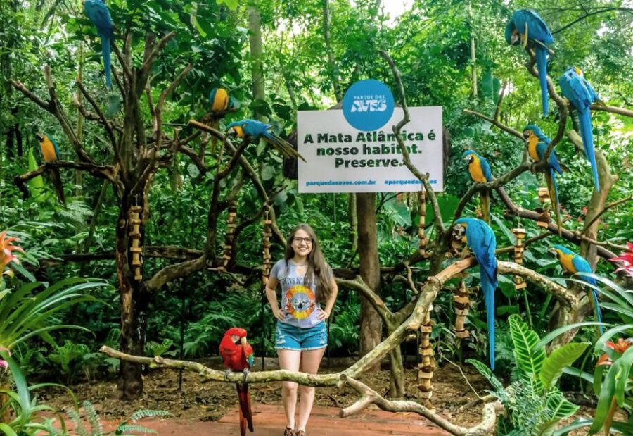 From Puerto Iguazú: Brazilian Bird Park Tour With Tickets - Tour Overview and Pricing