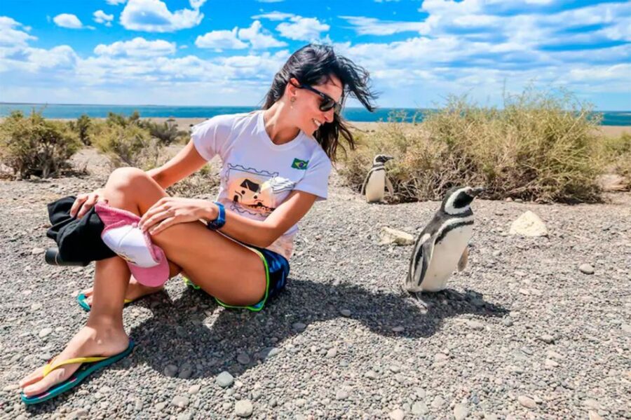 From Puerto Madryn: Punta Tombo Day Trip With Hotel Transfer