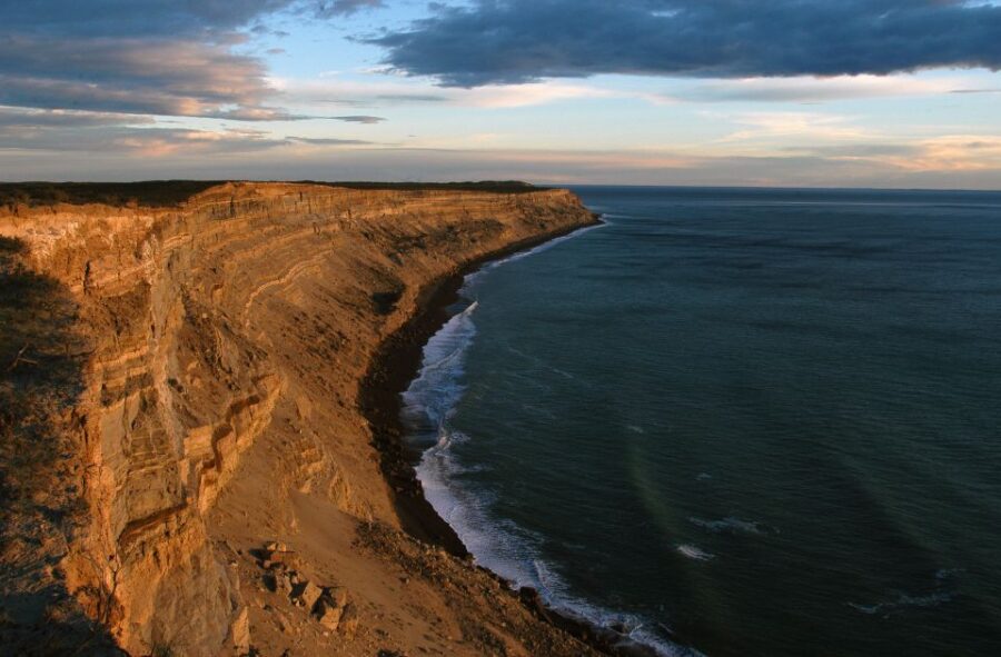 From Puerto Madryn: Valdes Peninsula Full-Day Tour
