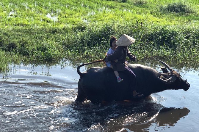 From Real FARMER'S LIFE to River FISHING EXPERIENCE