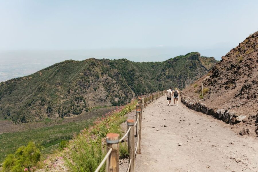 From Rome: Pompeii and Mount Vesuvius Day Trip With Lunch
