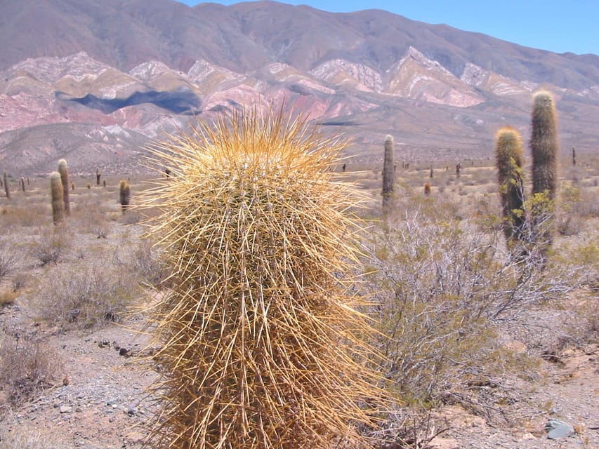 8 Best 3 Day Tours In Salta