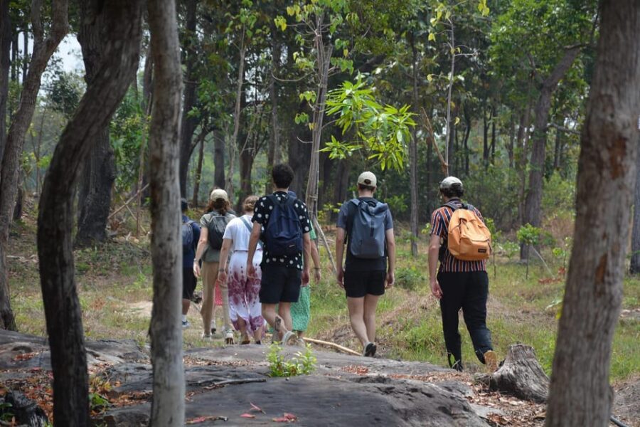 From Siem Reap: Phnom Kulen National Park Trekking Tour - Tour Overview and Pricing