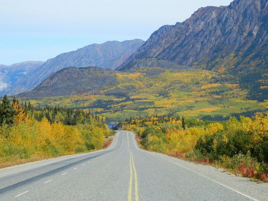 From Skagway: Skagway City & White Pass Summit Guided Tour