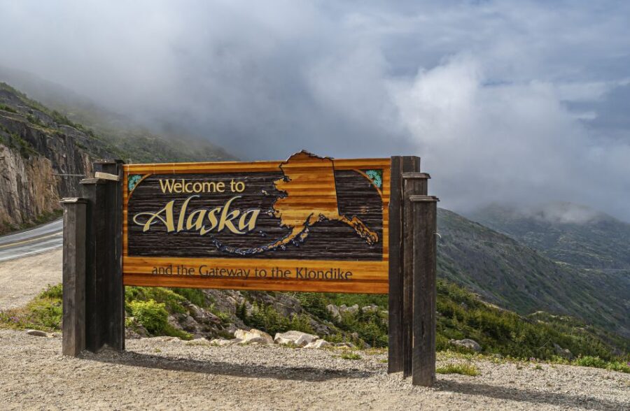 From Skagway: White Pass Summit Guided Bus Tour