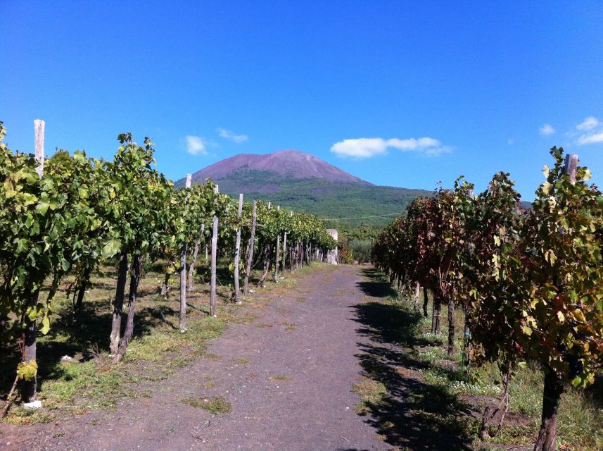 From Sorrento: Skip-the-Line Guided Vesuvius Hike and Lunch
