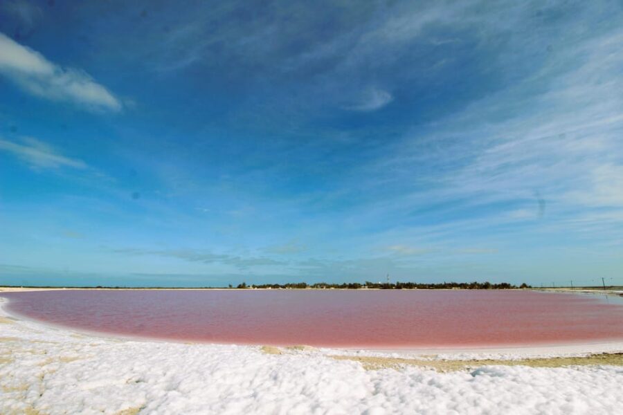 From Valladolid: Private Tour to Rio Lagartos, Coloradas, Ek Balam & Cenote