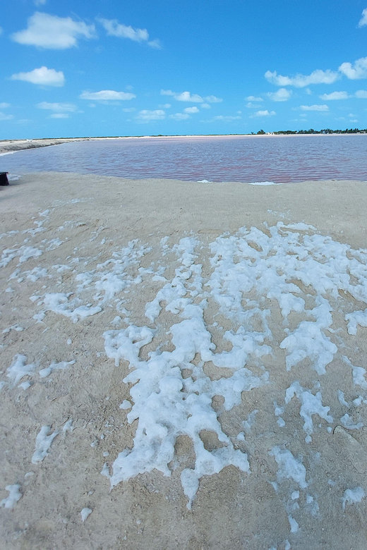 From Valladolid: Rio Lagartos, Las Coloradas, Cenote & Lunch